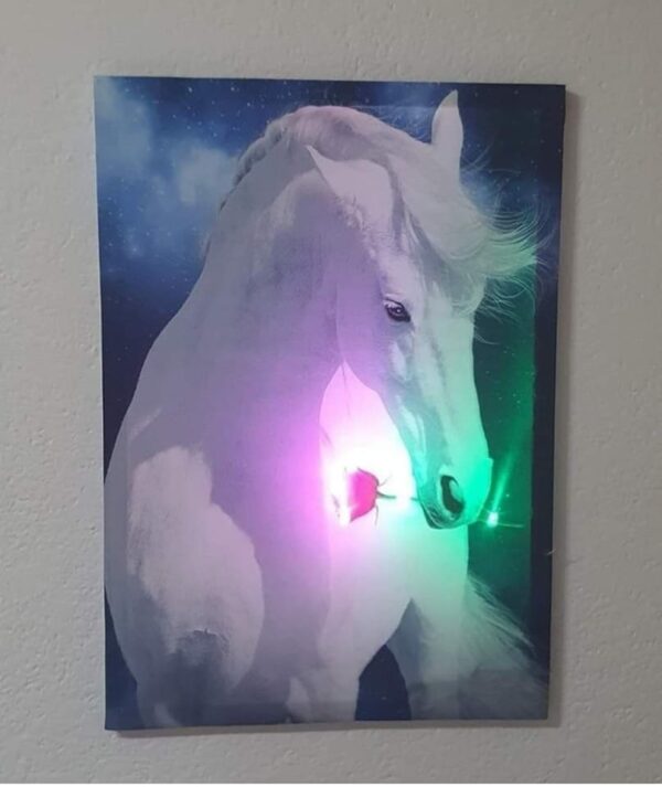 SVIJETLEĆA SLIKA NA CANVAS PLATNU